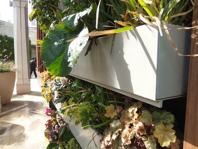 A close up of the 'window box' style planters