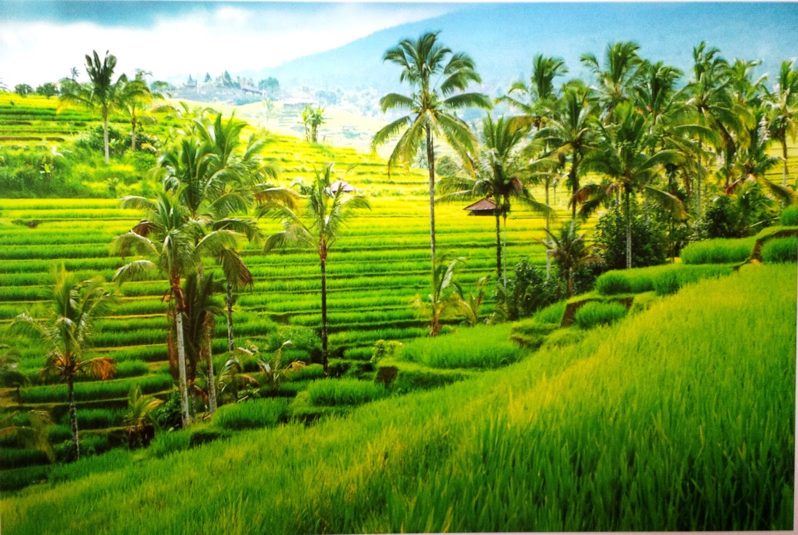 Wallpaper Pemandangan Blog Wallpaper Dinding Desain Wallpaper