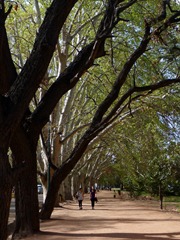 General San Martin park, Mendoza.