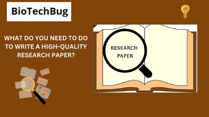 What do You Need to do to write a High-Quality Research Paper?