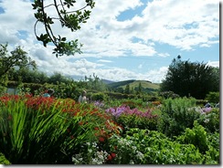 bp farm view across garden