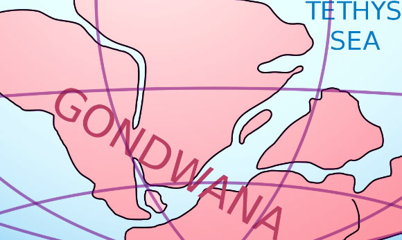 Scientists Reconstruct Break-up of Eastern Gondwana