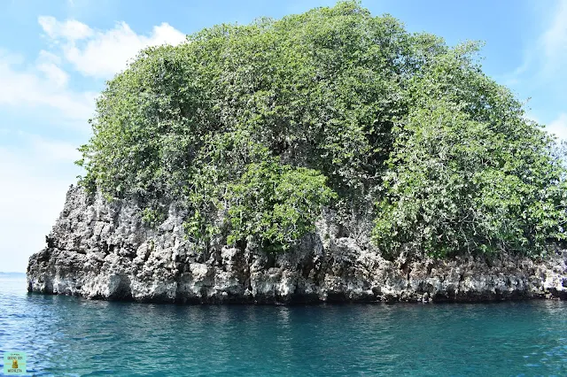 Melissa's Garden, Raja Ampat