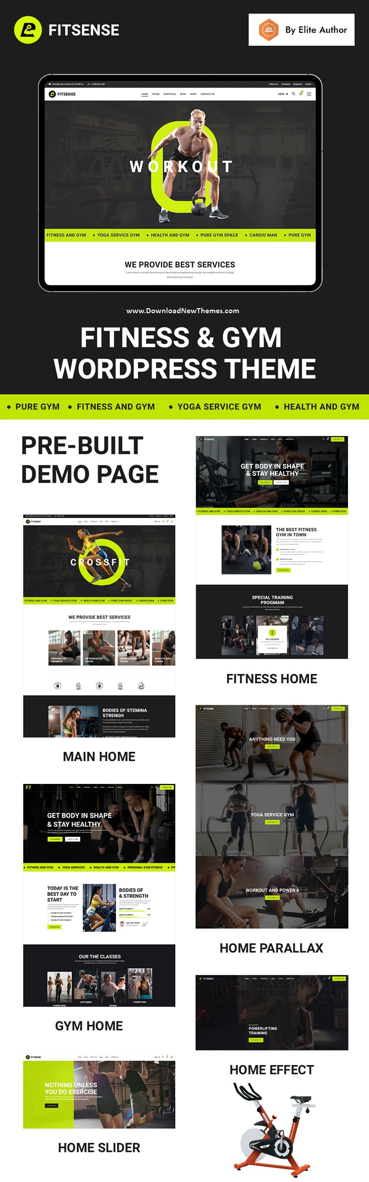 Fitsense - Gym and Fitness WordPress Theme Review