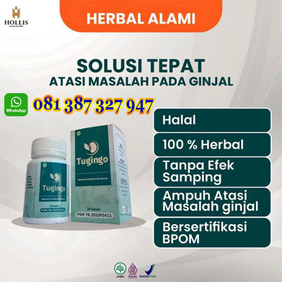 tugingo, tugingo asli, tugingo original, obat ginjal, batu ginjal, kencing batu, saluran kemih