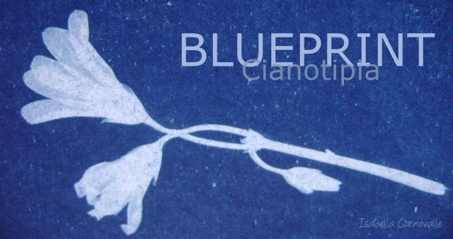 Blueprint