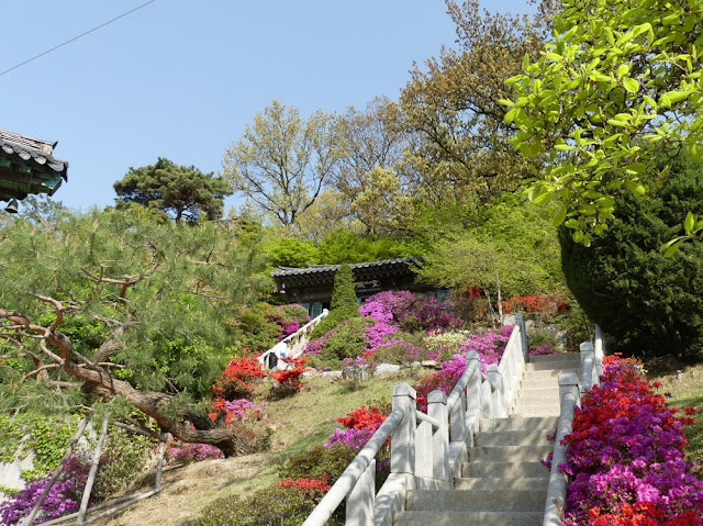 Bongeunsa - buddhistischer Tempel in Seoul - Impressionen