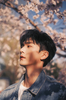 강한 느낌도 있고
