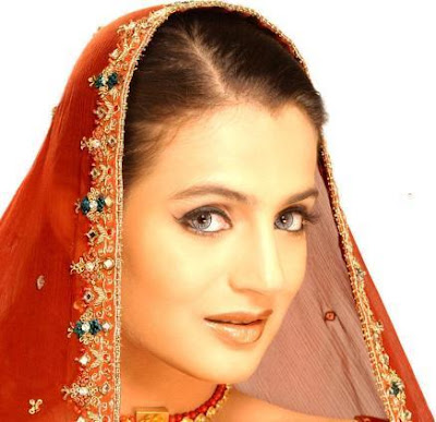 Amisha Patel Hot Wallpapers11