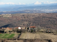 Topolovec s Trstom in Dolomiti v ozadju
