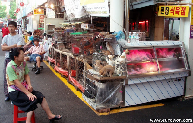 Perros a la venta en un mercado coreano