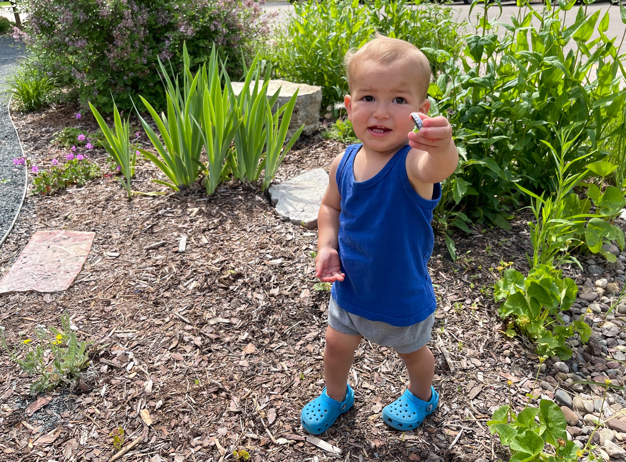 Natural Playscape and Playground Inspiration