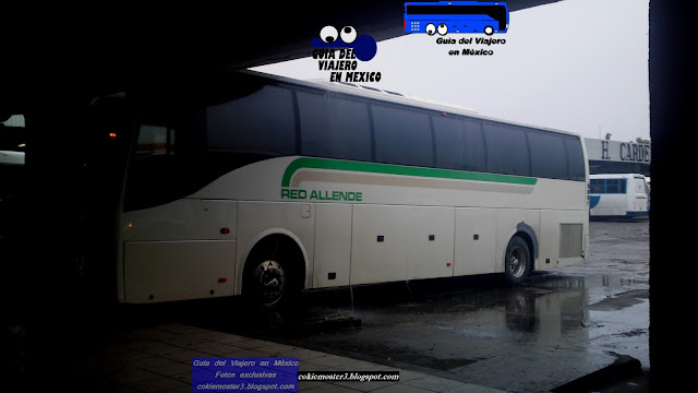 Autobuses Red Allende