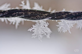 horfrost_3 - chris martin photography