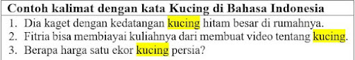 25 Contoh Kalimat Kucing di Bahasa Indonesia dan Pengertiannya