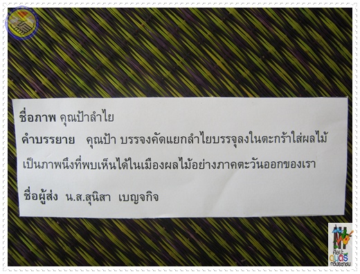 photo suwet