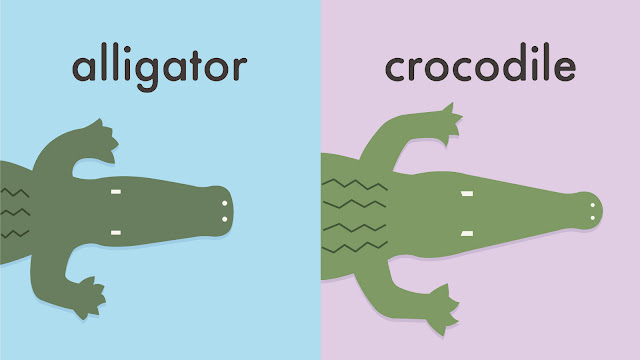 alligator と crocodile（アリゲーターとクロコダイル）の違い