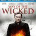 Way of the Wicked (2014) BRRip 625MB Free Download 