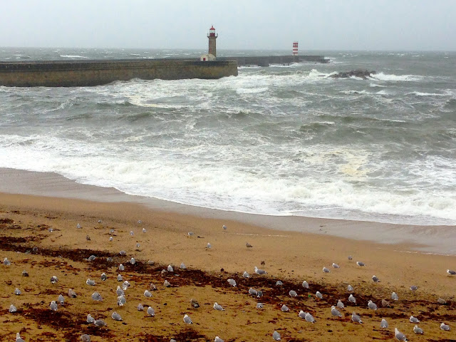 Foz do Douro-Portogallo