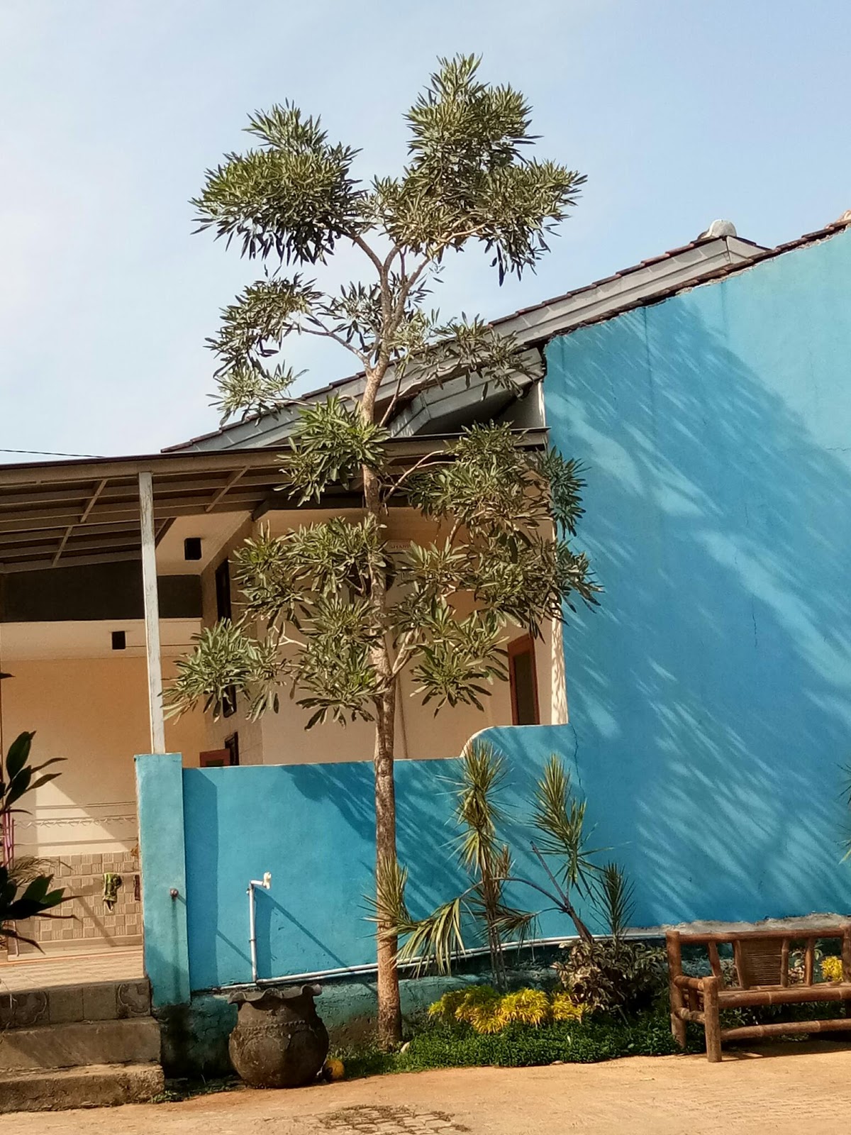 PUSAT RUMPUT SINTETIS TAMAN FUTSAL DAN VERTICAL GARDEN 