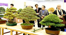 Numerous visitors admiring Bonsai on display at Takan Ten exhibition held in Kyoto, Japan