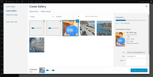 Create a New Gallery