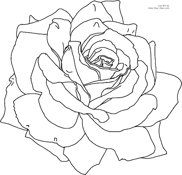 Flower Page Printable Coloring Sheets  For The   Printable Size  Click Here