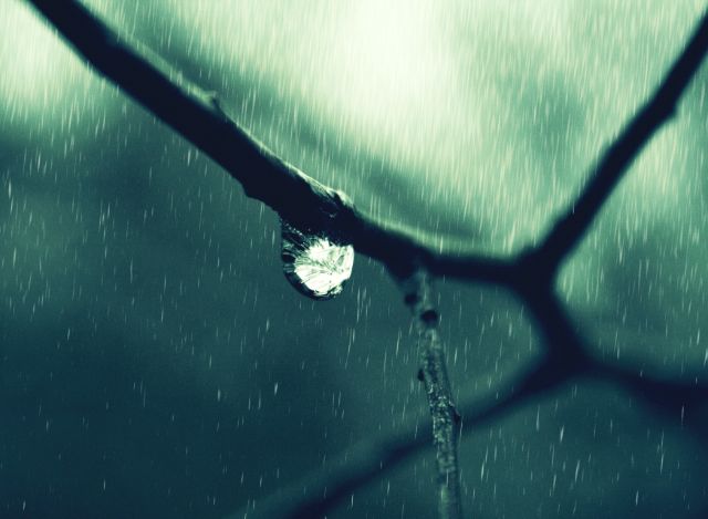 صور خلفيات أمطار وقطرات المطر