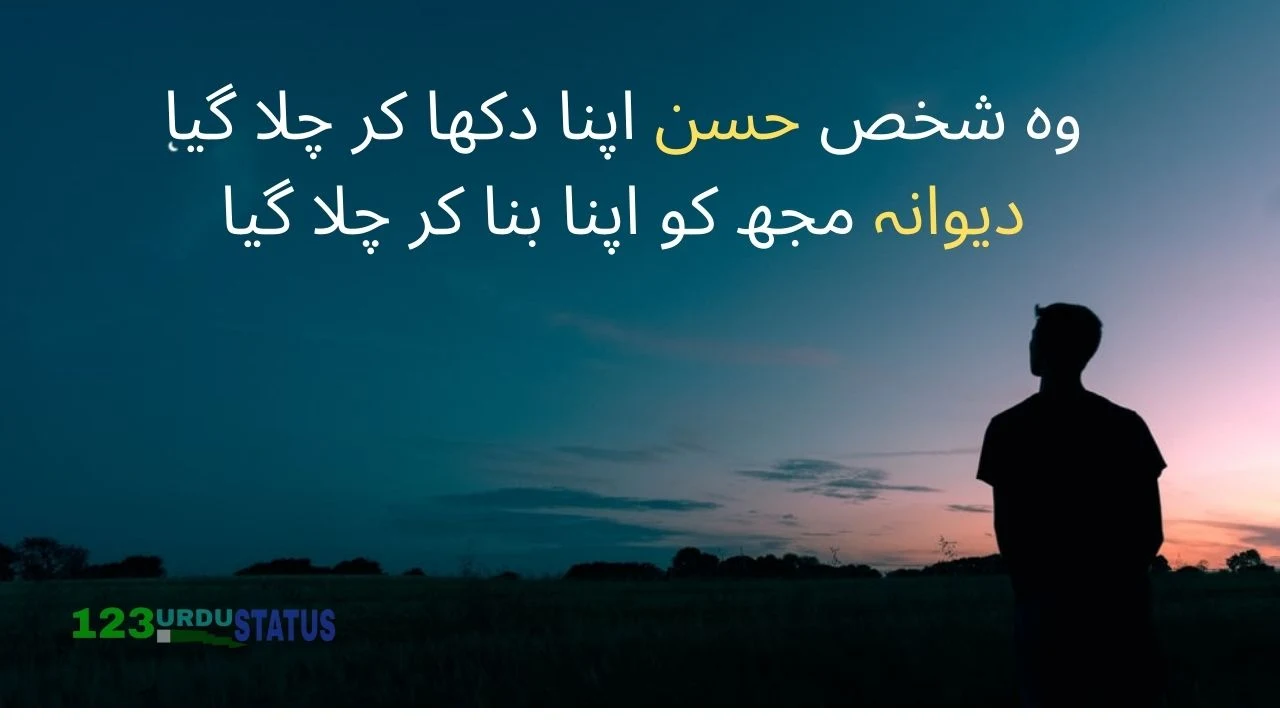 Best Collection of Famous, Sad, Emotional One line poetry | WhatsApp Status poetry | Urdu Shayari  | Hamari Bewafai par bhi woh