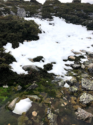 クレイドル・マウンテン（Cradle Mountain）