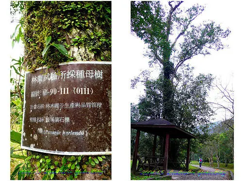 福山植物園