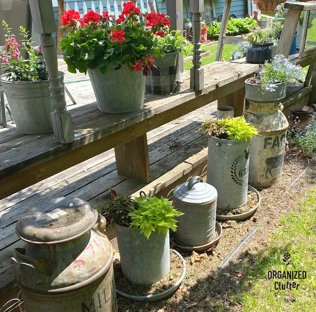 2020 SPRING PLANTING Junk Garden Tour #junkgarden #rusticgarden #annuals #perennials #gardentour