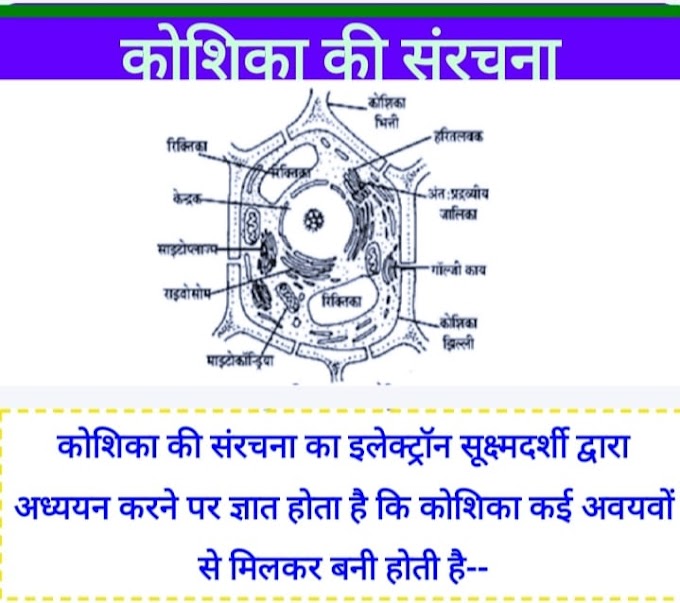 कोशिका की संरचना|Structure of cell