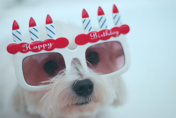 21st birthday wishes