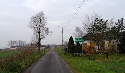 Zdjęcie: