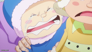 ワンピース アニメ 1104話 白ひげの故郷 スフィンクス ONE PIECE Episode 1104
