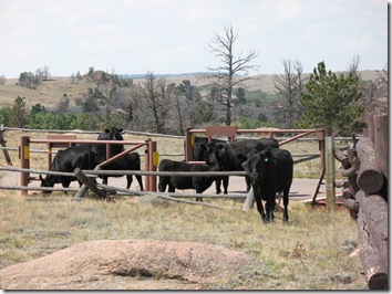 Vedauwoo 2012-08-24 (7)