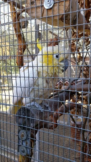 20150406_154044
