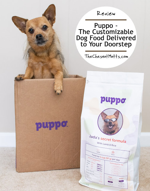 Puppo Dog Food Review