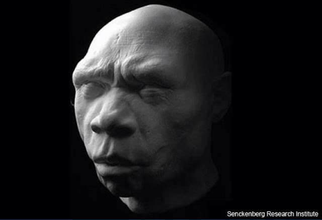 «Микелон» — Homo heidelbergensis