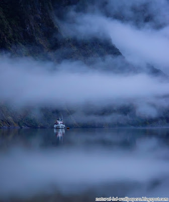 Beautiful Watery Scene