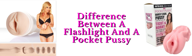 What Is The Difference Between A Flashlight And A Pocket Pussy?