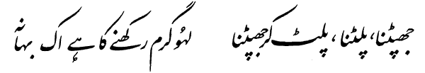 Allama Iqbal Poetry کلام علامہ محمد اقبال: (Bal-e-Jibril-176) Shaheen