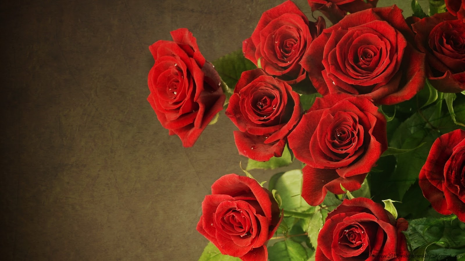 9. New Latest Happy Rose Day 2014 Hd Wallpapers