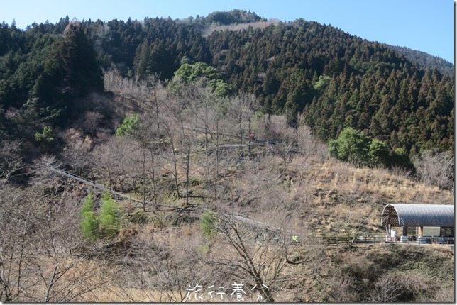 祖谷ふれあい公園(祖谷友誼公園) (56)