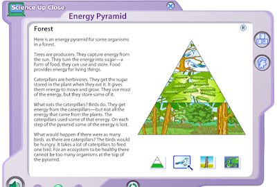 http://www.harcourtschool.com/activity/science_up_close/314/deploy/interface.swf