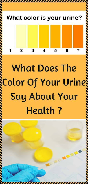 The Color of Your Urine Is a Health – Indicator