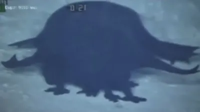 Strange looking creature under the ocean 6000 feet.