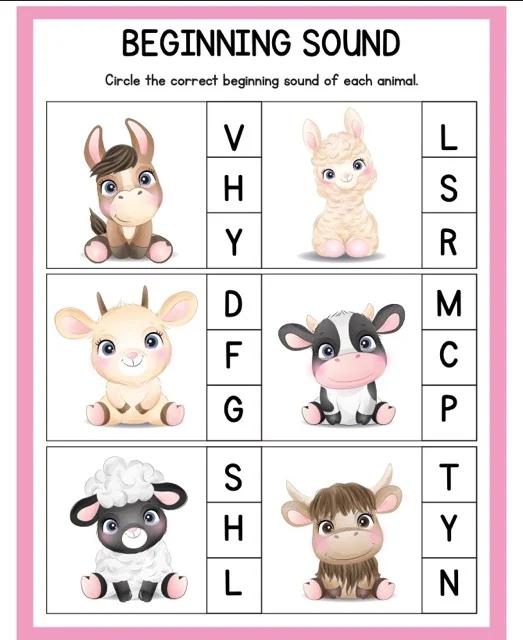 Animal Activities