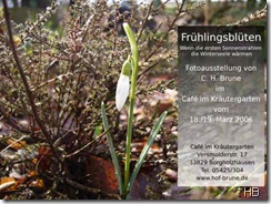 Plakat Frühlingsblüten © H. Brune